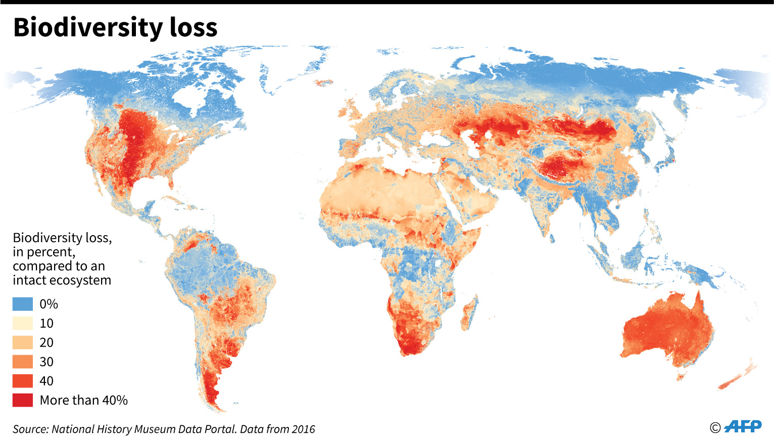 biodiversity loss illustration