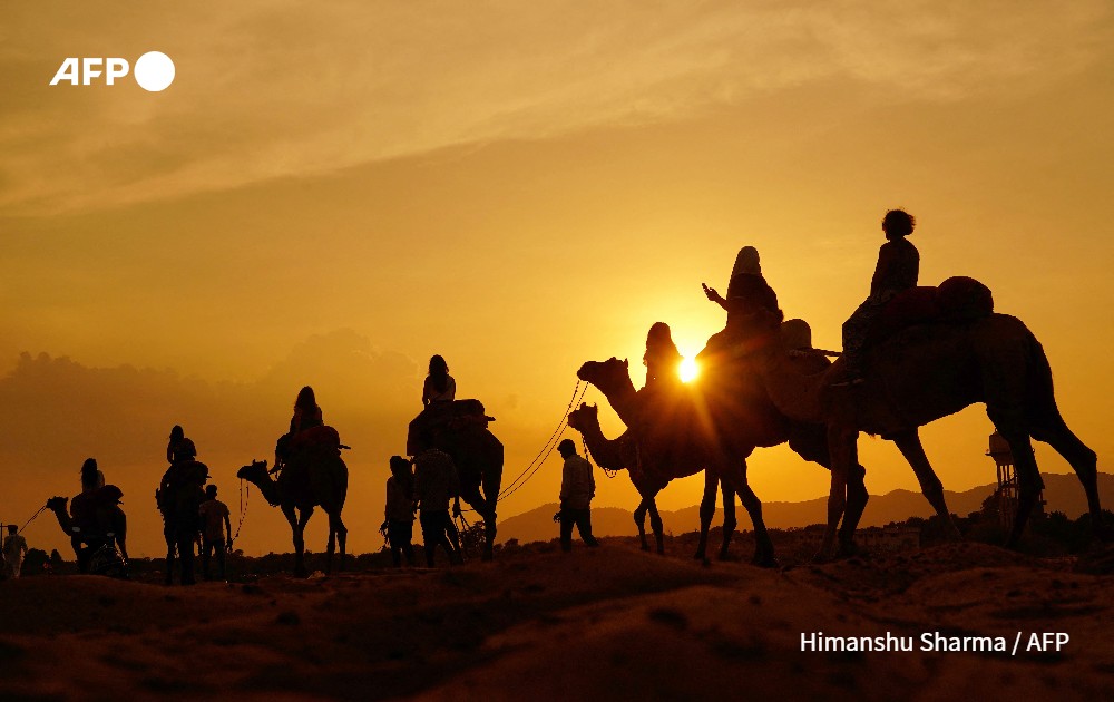 Tourists enjoy a camel safari in a desert