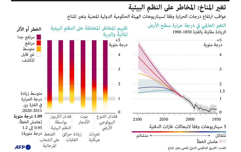 الرسوم البيانية الثابتة والتفاعلية