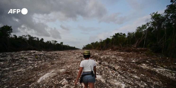 La labor fotográfica “Tren Maya” de Pedro Pardo obtiene el primer premio Walter Reuter 2022